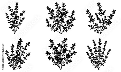 Collection of stylized chocolate bars with toppings and splashes in black and white drawing style