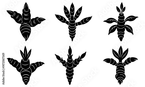 Illustration of six black and white cupcakes with various toppings and decorative paper cups design