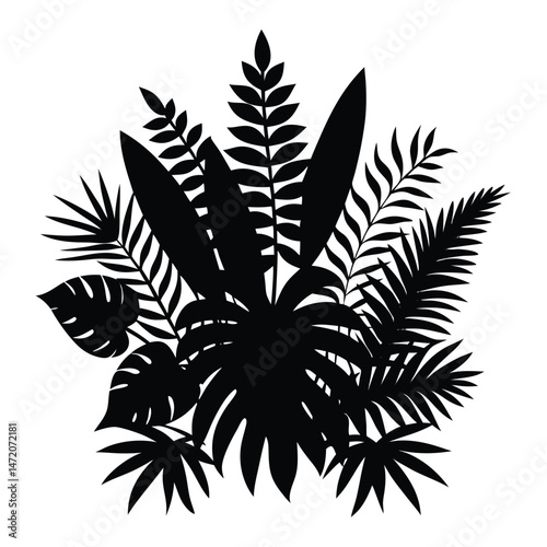 Tropical Silhouette Black and White Illustration of Lush Exotic Leaves