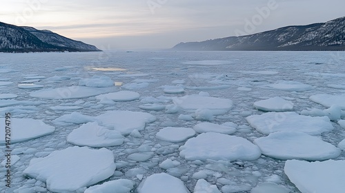 Stunning Aerial View of Frozen Sea Ice Floes and Mountain Landscape photo