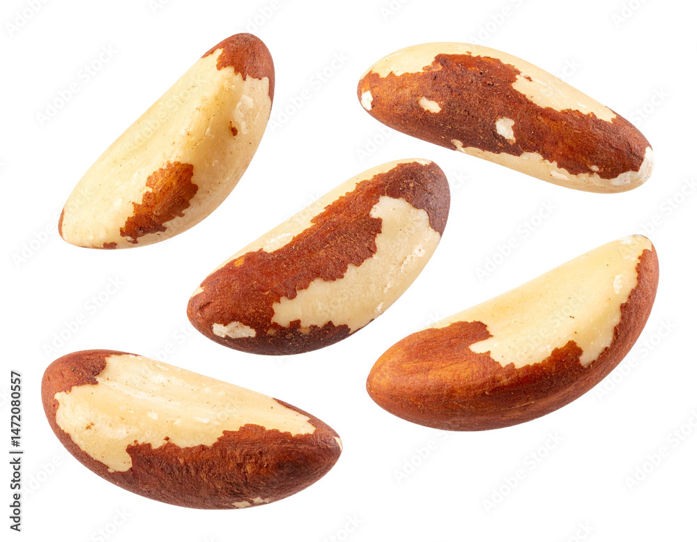 Brazil Nuts Isolated on Transparent Background Healthy Food Ingredient Studio Shot