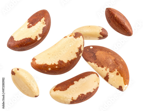 Obraz na płótnie Brazil Nuts Isolated Healthy Snack Superfood Nutritious Vegetarian Food Ingredient w salonie