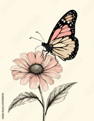 Butterfly perched on pink flower in vintage illustration style  