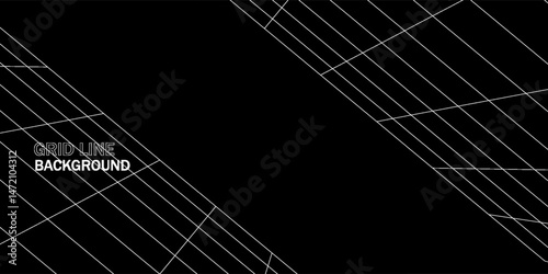 Sloping surface background digital box room black-white grid space line color surface. Network cyber technology. banner, cover, terrain, sci-fi, wireframe, and related to background.