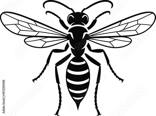 Detailed Wasp Silhouette with Intricate Wing Design Vector Clipart Design. Transparent Background.