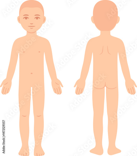 Nude child body chart, front and back view. Blank unisex children body template for medical infographic. Isolated vector illustration.
