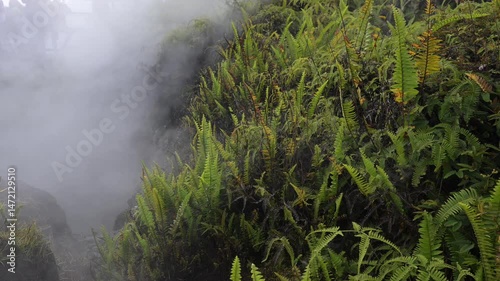 Video of hot Steam escaping a vent at Hawaii Volcanoes National Park
