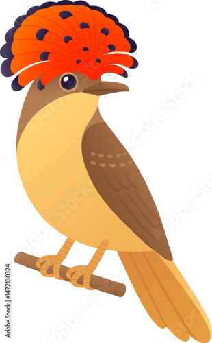 Amazonian royal flycatcher. Tropical bird cartoon vector illustration.