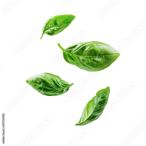 Fresh basil leaves floating in the air, showcasing their vibrant green color and detailed textures