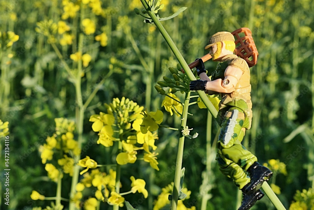 Naklejka premium GI JOE action figure of heavy machine gunner RockNRoll, version 1989 by Hasbro, climbing on Rapeseed plant (Brassica Napus) swinging with LEGO butterfly net held in right hand. Afternoon sunshine.