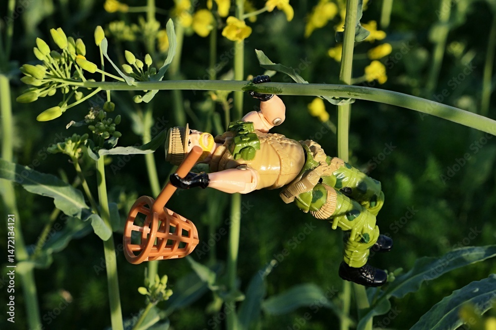 Naklejka premium GI JOE action figure of heavy machine gunner RockNRoll, version 1989 by Hasbro, hanging on bent Rapeseed plant (Brassica Napus) swinging with LEGO butterfly net held in right hand. Afternoon sunshine.