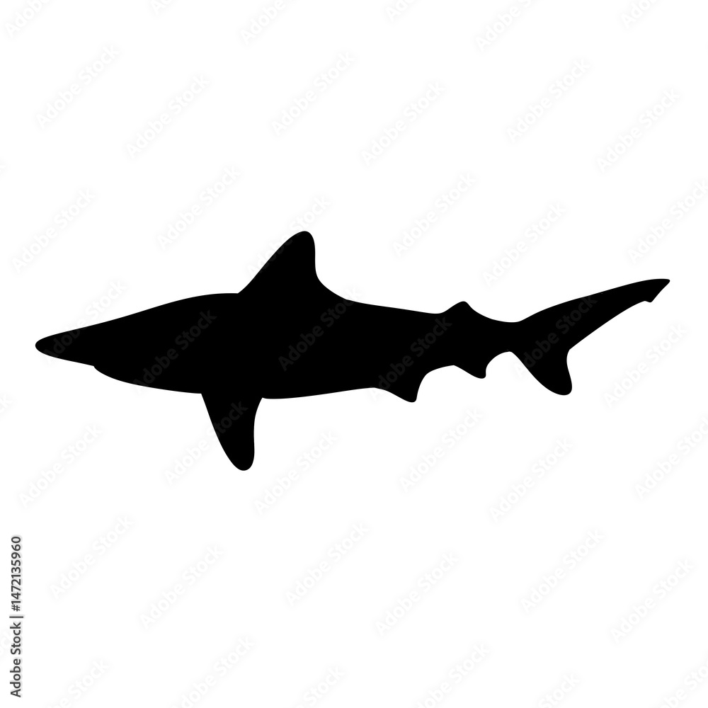 Fototapeta premium shark silhouette
