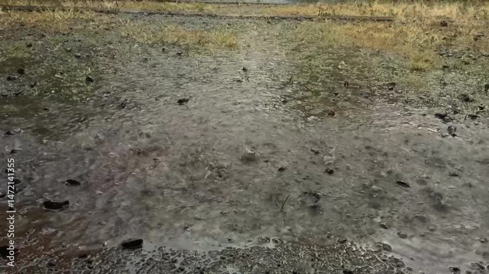 Raindrops in puddles on the ground. Raindrops in puddles on the ground.