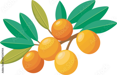 A vibrant vector art illustration showcasing delicious sea buckthorn berries, featuring rich colors, detailed textures, and a fresh, natural appeal.