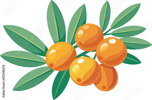 A vibrant vector art illustration showcasing delicious sea buckthorn berries, featuring rich colors, detailed textures, and a fresh, natural appeal.