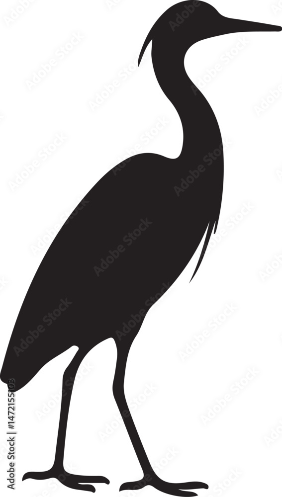 Fototapeta premium bird silhouette