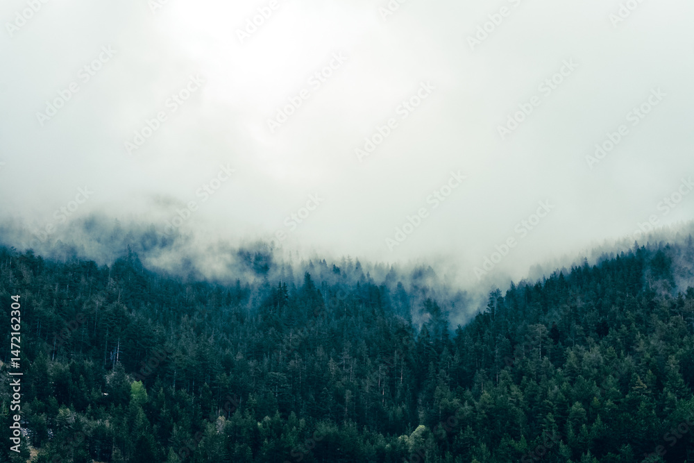 Fototapeta premium fog in the mountains