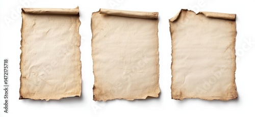 Three aged parchment scrolls, rolled and slightly burnt at edges, isolated on white background, ideal for antique, vintage, or historical designs. : Generative AI