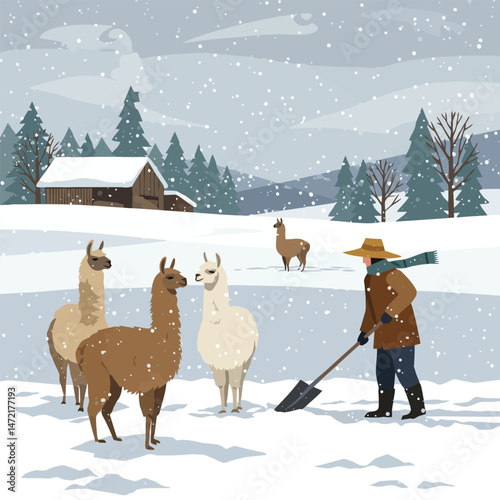 Shoveling Snow Near Llamas in a Winter Landscape Illustration