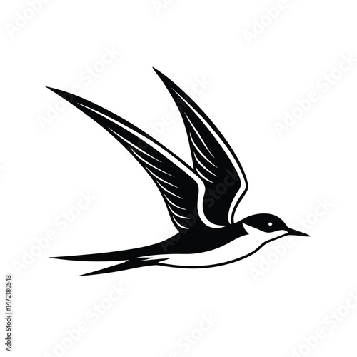 Black and white vector illustration of a swift flying in mid-flight against a white background