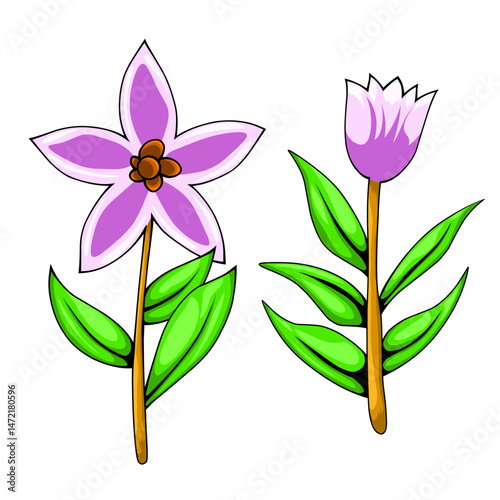 illustration of a flower stalk for editing material, background, or object in an image.