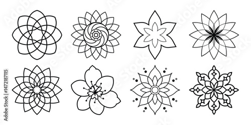 Set of floral elements for design vector on white background.