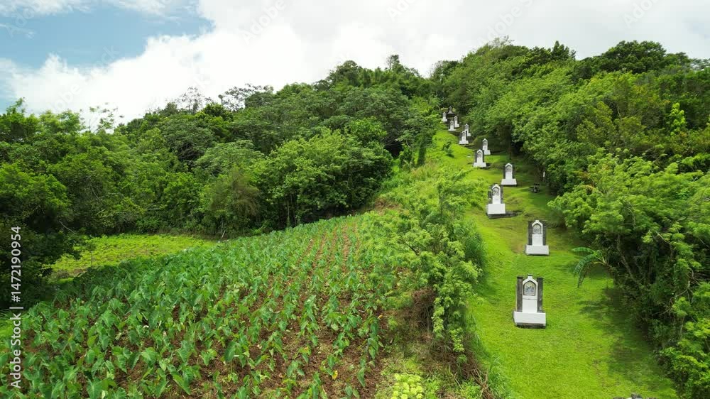calvaire, le morne rouge, martinique, antilles