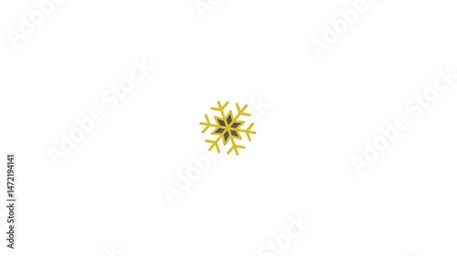 Snow flake icon motion