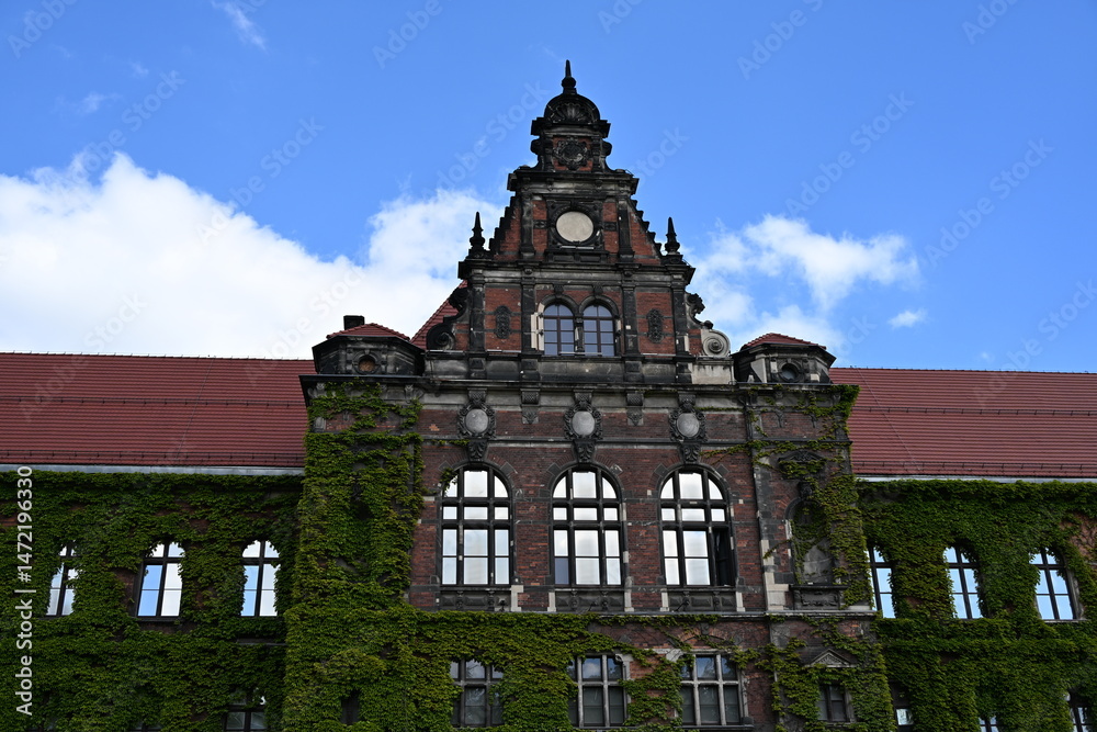 Obraz premium Budynek porośnięty bluszczem stary wrocław Muzeum narodowe zielony klasyczny zjawiskowy