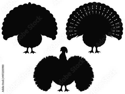 Turkey silhouettes set, vector illustration