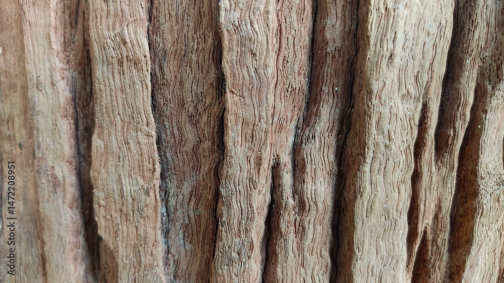 Obraz premium old wood texture