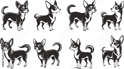 Adorable Chihuahuas in Monochrome Illustrations Dog Breed Collection, Pet Vector