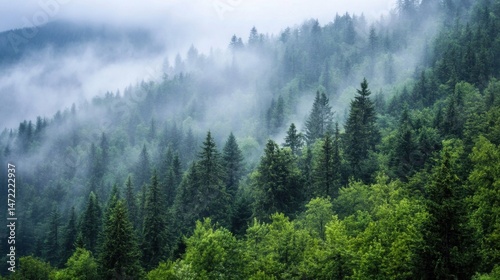 Misty mountain forest scene showcasing lush green conifers and fog rolling through the trees on a cloudy day, creating a serene and tranquil atmosphere. : Generative AI