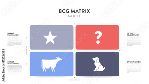 BCG Matrix strategic tool diagram chart infographic template banner vector for business presentation has star icon, question mark, dog, cash cow. Market growth rate and relative market share concepts.