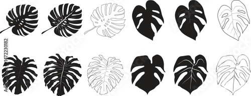 Monstera Leaf Silhouette Vector Set | Tropical Jungle Leaves Collection