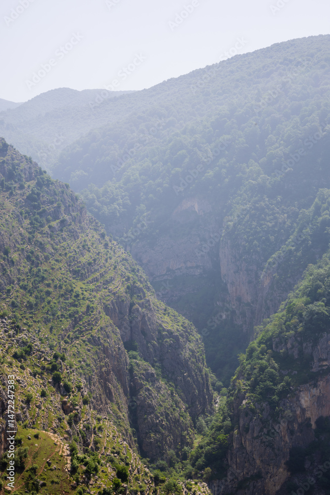 Naklejka premium Lush green mountain range with fog rolling through valleys. Scenic landscape view.