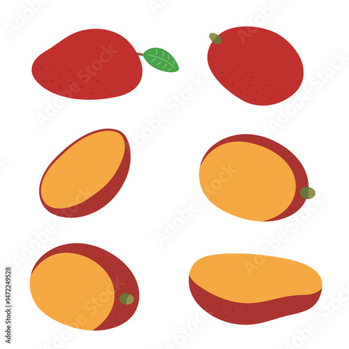 Mango collection vector illustration. Mangoes are available whole, sliced, and with leaves. Perfect for tropical food packaging, summer designs.