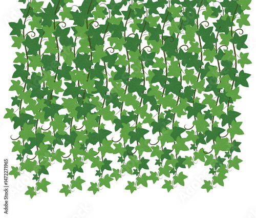 Ivy Leaf Vine Background – Green Hanging Foliage Plant Pattern