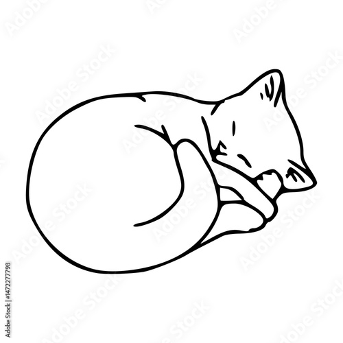 relaxing cat nap vector graphic