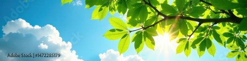 Sun-drenched summer tree, lush green leaves, vibrant sky , august, scenic