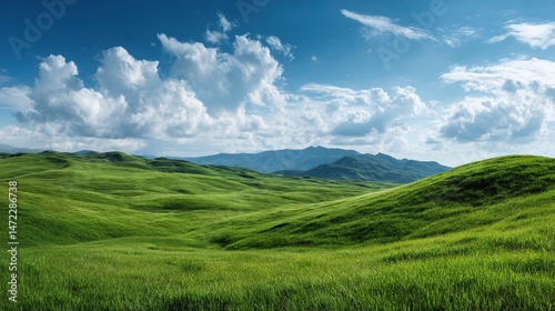 Panoramic View of Lush Green Grassland Under Clear Blue Sky