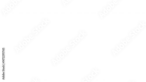 Squash icon motion