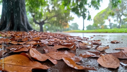 Rainy park path covered in fallen leaves