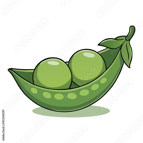 Green Pea Fruit Vegetable Vector Illustration