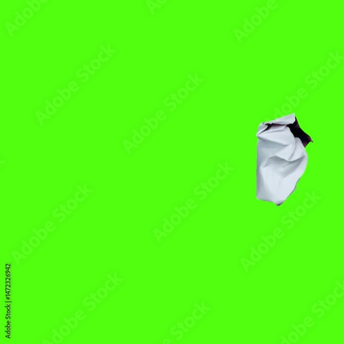 white cat with green eyes