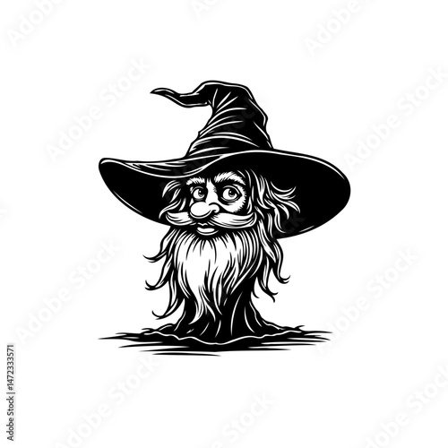 Enigmatic sorcerer illustration with whimsical hat and expressive beard in black and white