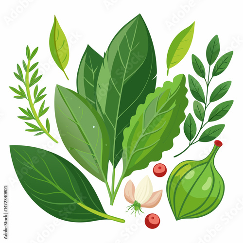 Assortment of Fresh Herbs and Spices for Cooking