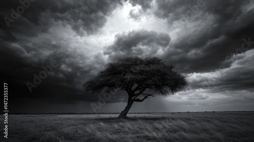 A lone tree stands amidst a dramatic sky filled with dark clouds.  A powerful storm gathers overhead, casting a brooding atmosphere over the vast, grassy plain