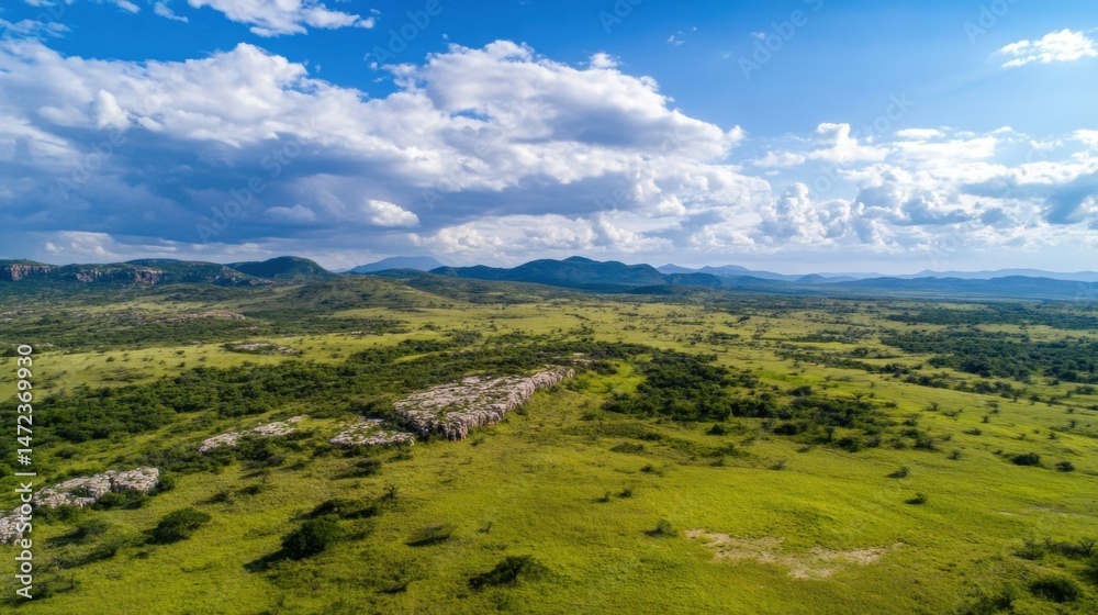 Obraz premium Aerial view of a vast, green savanna landscape with a prominent rock formation stretching across the plains under a partly cloudy sky. : Generative AI