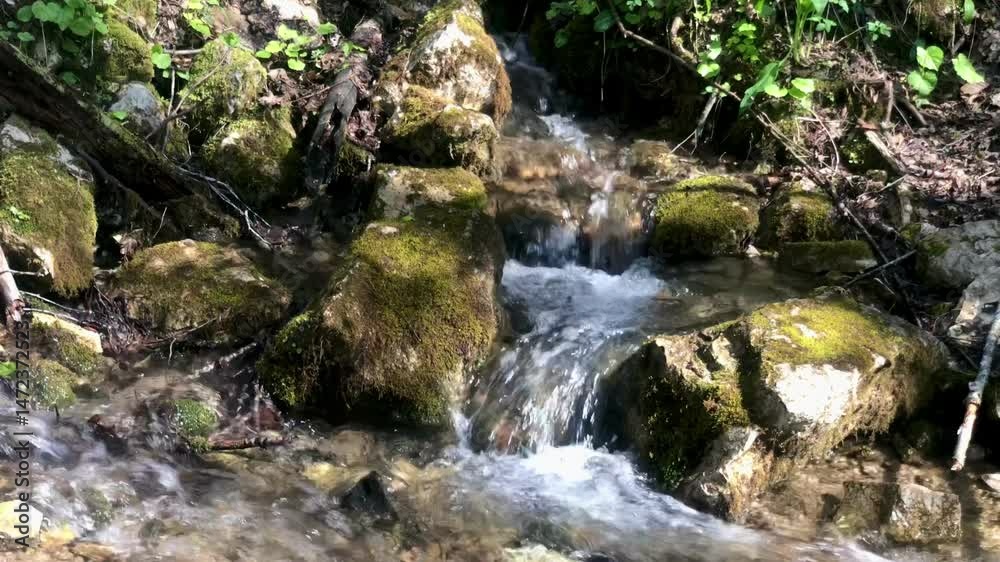 Forest waterfall Forest waterfall